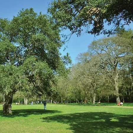 Villa San Zaro Pula